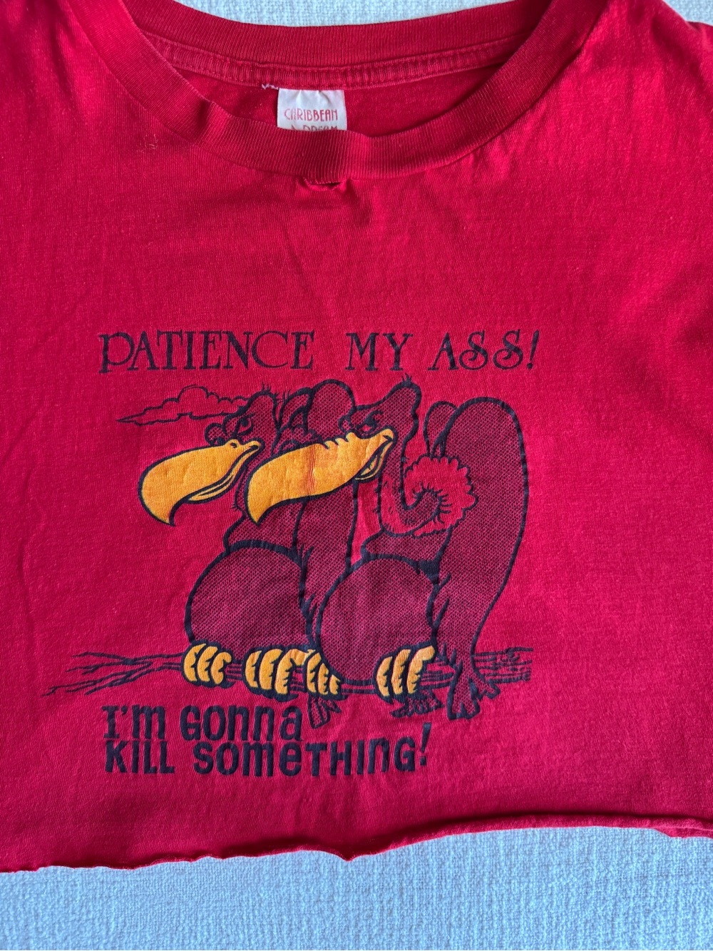 Vintage Graphic Tee of Vultures - “Patience My Ass”, XL